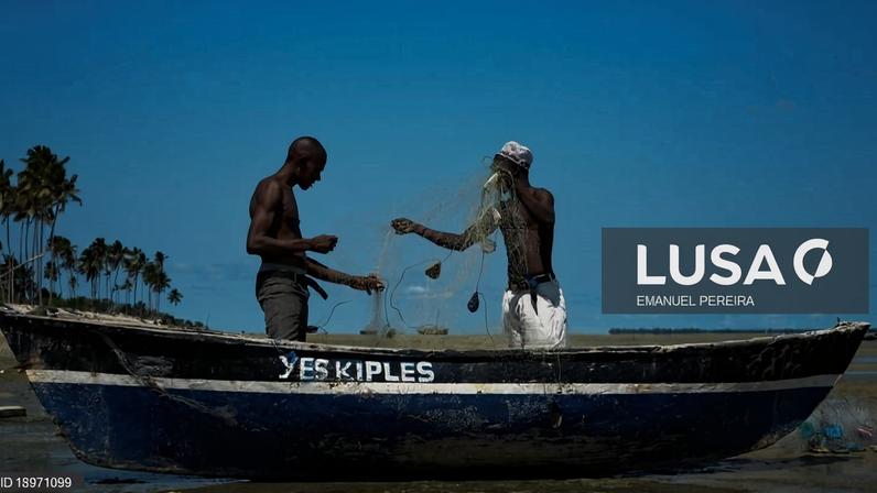 Pesca e aquacultura estagnou em Moçambique no primeiro trimestre