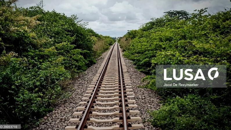 Caminho de Ferro de Luanda soma cinco mortes por infração à sinalização