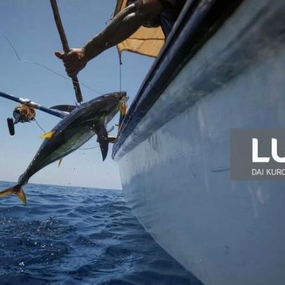 Quinze países adotam declaração para fortalecer combate à pesca ilegal