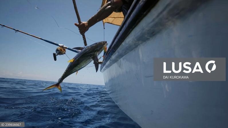 Quinze países adotam declaração para fortalecer combate à pesca ilegal