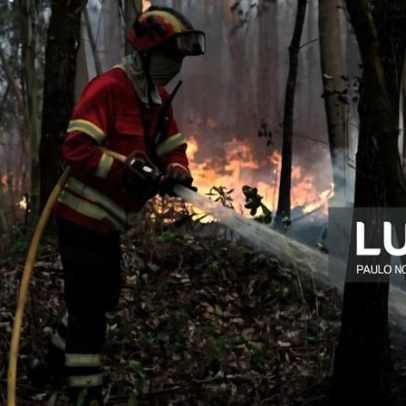 Incêndio em Loulé dominado às 04:00