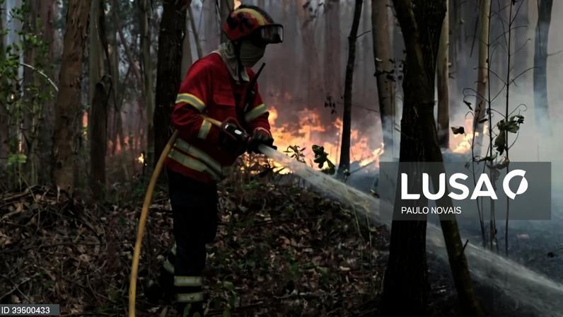 Fogo em Loulé dominado às 04:00