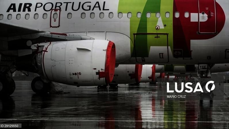 TAP: Fim da reestruturação deixa companhia “totalmente preparada” para privatização - Pinto Luz