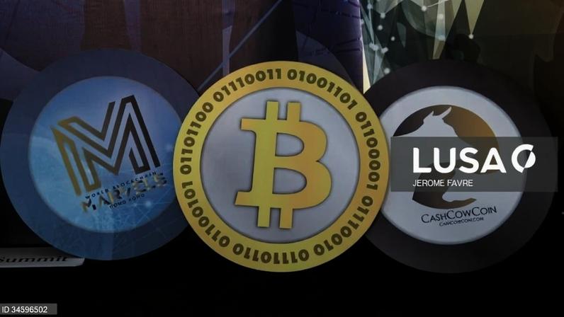 Burlas com criptomoedas resultam em prejuízo de 140 mil euros nas Caldas Rainha