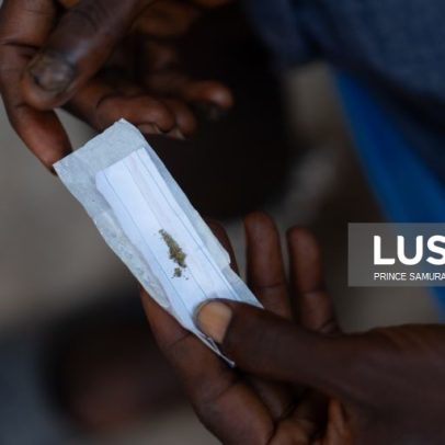 Quatro detidos por tráfico de 3,7 toneladas de fentanil em Moçambique