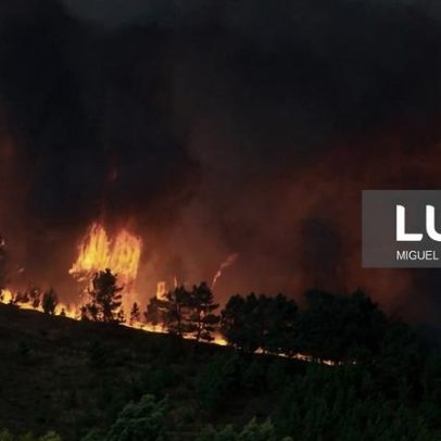 22 concelhos em cinco distritos com perigo muito elevado de incêndio