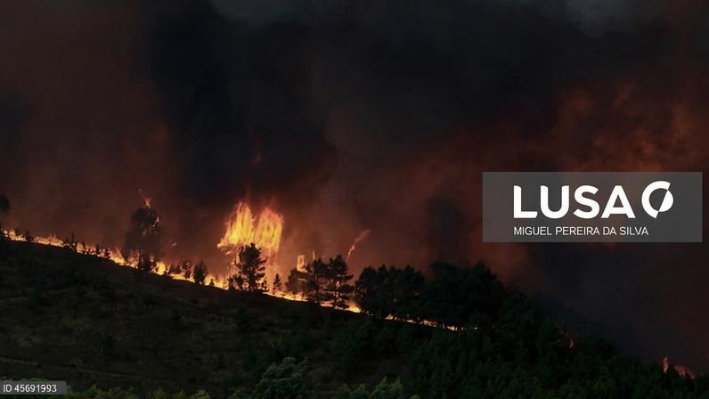 22 concelhos em cinco distritos com perigo muito elevado de incêndio