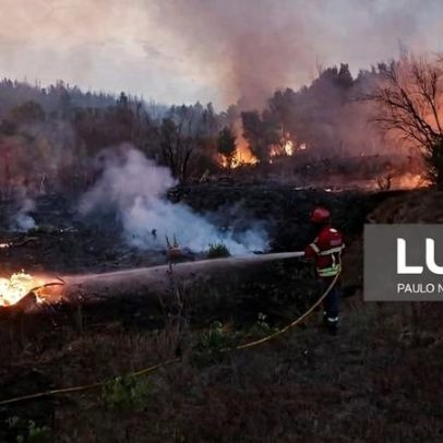 Cerca de 100 concelhos em 12 distritos em perigo máximo de incêndio