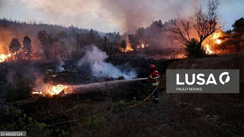 Cerca de 100 concelhos de 12 distritos do continente em perigo máximo de incêndio
