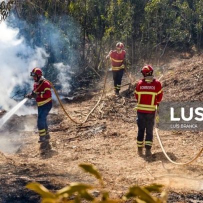 Semana de calor inicia com oito concelhos em perigo máximo de incêndio
