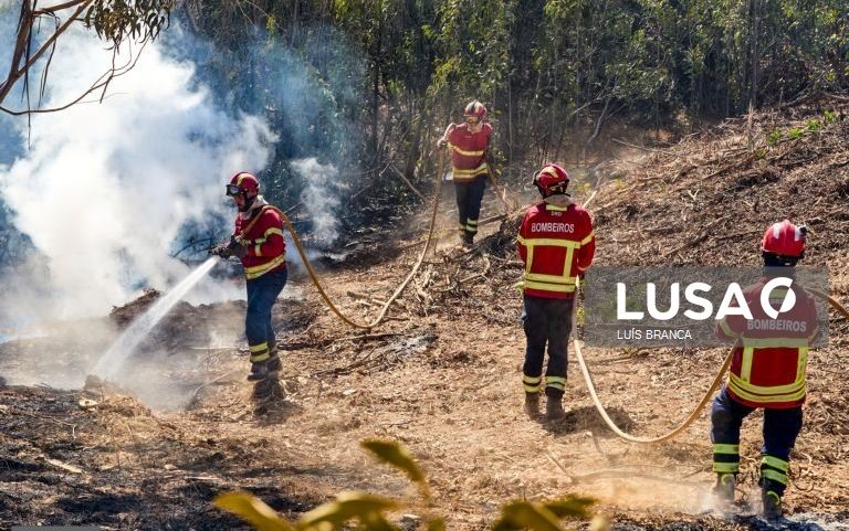 Semana de calor inicia com oito concelhos em perigo máximo de incêndio