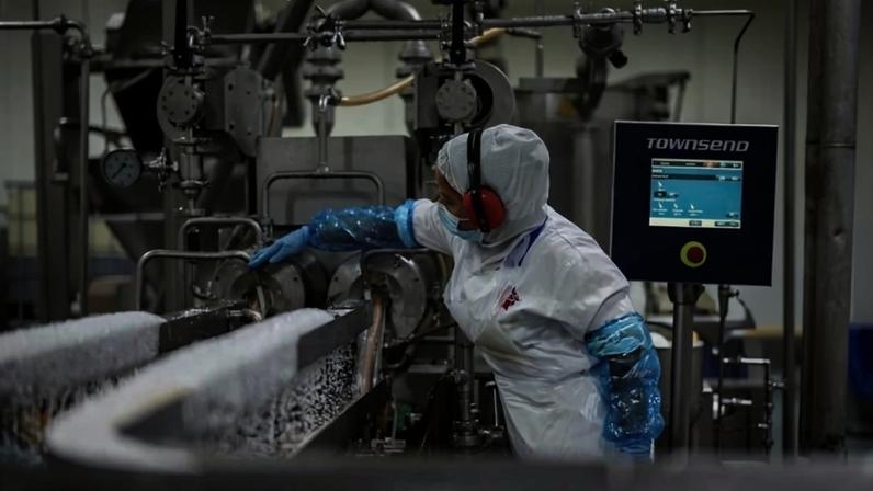 TSD defendem valores do trabalho acima da rigidez tecnocrática