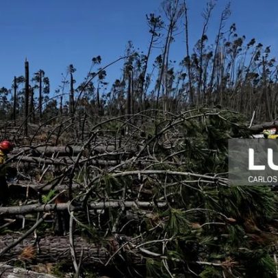 Governo reforça vigilância aérea de incêndios em concelhos afetados por Kristin