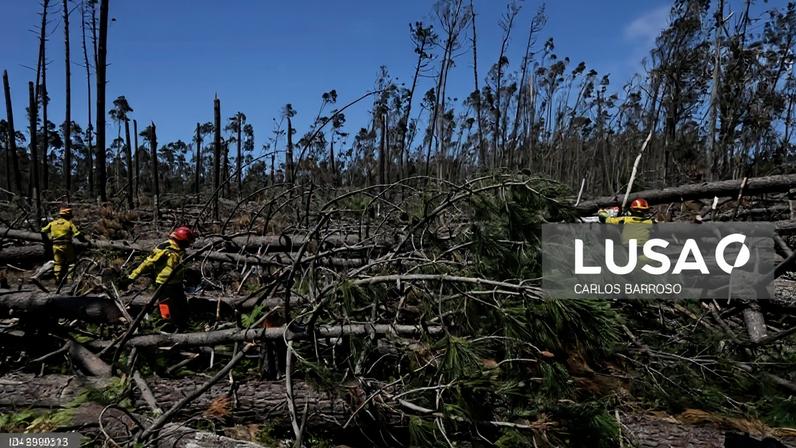 Governo reforça vigilância aérea de incêndios em concelhos afetados por Kristin