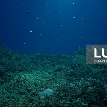 Sismo nas Filipinas eleva fundo do oceano até dois metros