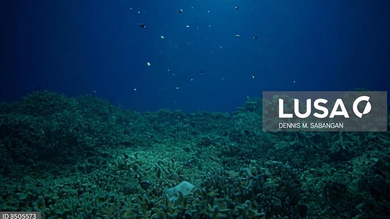 Sismo nas Filipinas eleva fundo do oceano até dois metros
