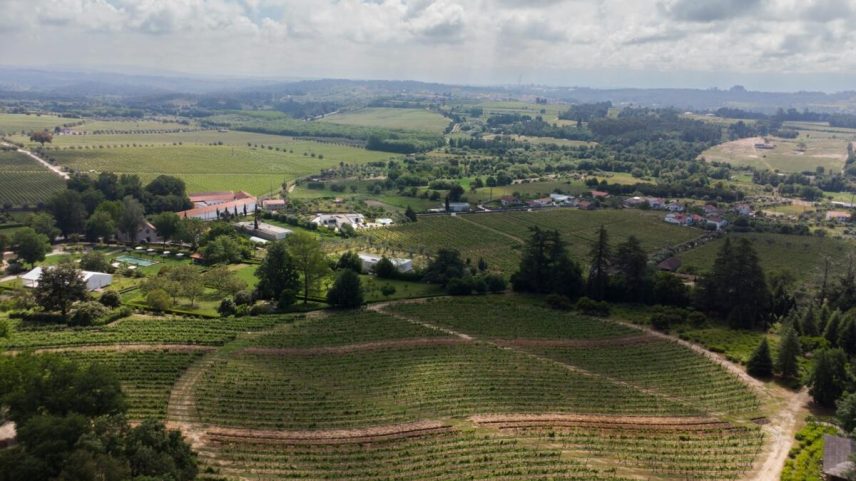 Nova Route du Bonheur da Relais & Châteaux leva viajantes pelo Dão
