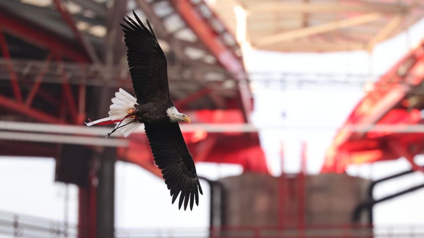 Fundo americano EEP recua e não adquire participação na Benfica SAD