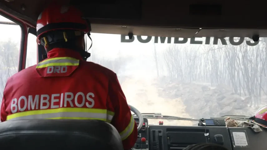 Este ano já se registaram 2780 incêndios que provocaram 10.387 hectares de área ardida