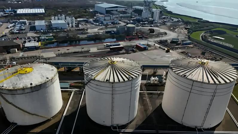 GNR apreende 2.800 quilos de sardinha pequena na Lota de Aveiro