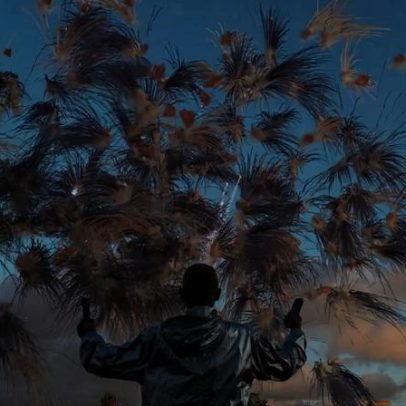 Cai Guo-Qiang afirma que gostaria de voltar a Portugal