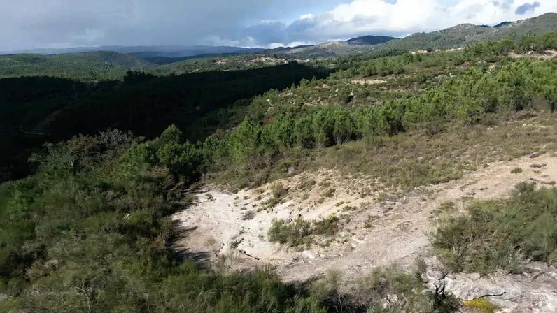 Equipas de resgate entre os escombros em La Guaira