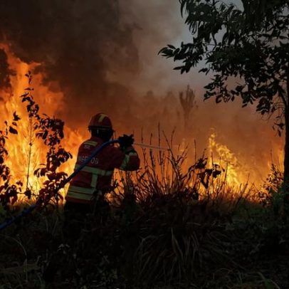 Freixo de Espada à Cinta identifica pontos de água e limpa terrenos em troca