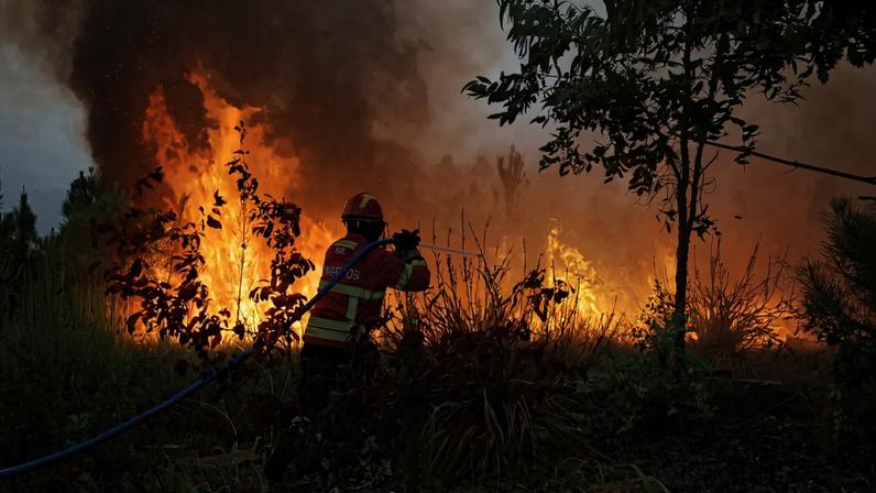 Freixo de Espada à Cinta identifica pontos de água e limpa terrenos em troca