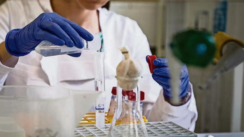Técnicos superiores de saúde desempenham funções fundamentais em laboratórios de análises