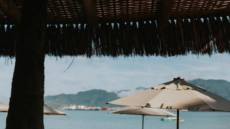 DECO lança guia de direitos e deveres na praia à boleia da guerra entre concessionárias e chapéus de sol