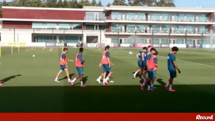 Transmissão em direto do treino da Seleção Nacional