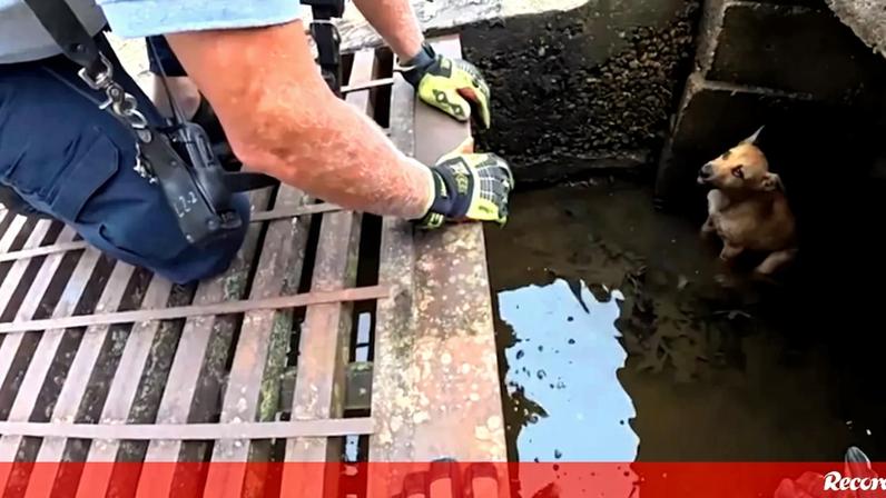 Avô combate incêndio e salva casa após explosão nos EUA