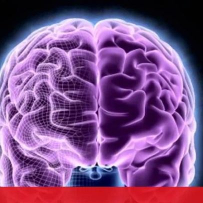 Neurocientista destaca memória como antídoto contra desinformação