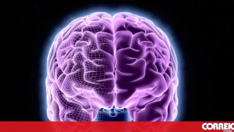Neurocientista destaca memória como antídoto contra desinformação