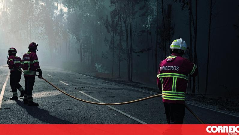 Comandante da Proteção Civil do Douro desconhece ligações económicas nos incêndios rurais