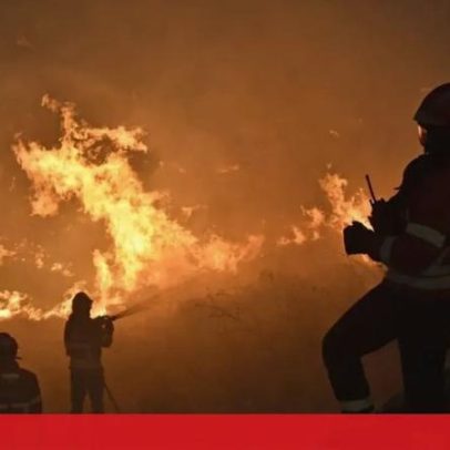 23 concelhos de cinco distritos em perigo máximo de incêndio rural