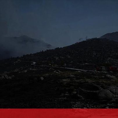Zonas protegidas queimam metade do que áreas não protegidas, diz WWF