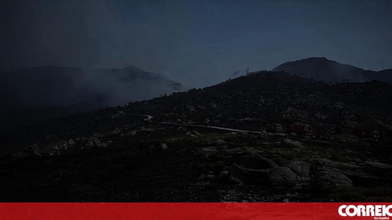 Zonas protegidas queimam metade do que áreas não protegidas, diz WWF