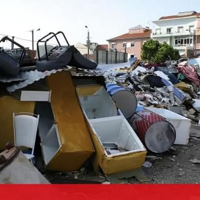 GNR regista 27 mil infrações contra a proteção da natureza em 2025
