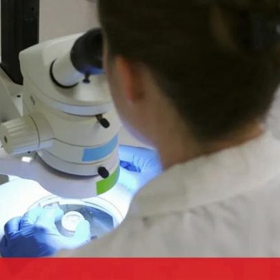 Avanços científicos reforçam a luta contra o câncer