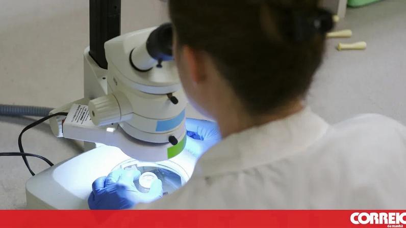 Avanços científicos reforçam a luta contra o câncer