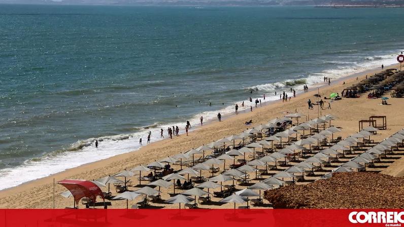 Federação garante que concessionários de praia cumprem a lei