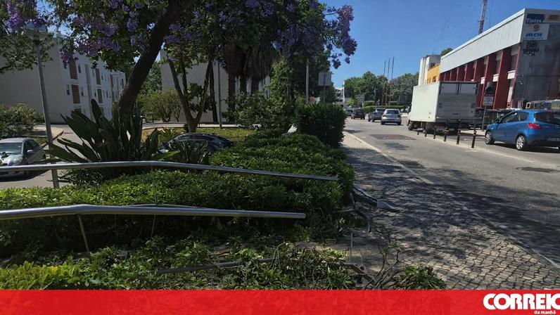 Mulher morre atropelada no passeio em Albufeira; condutora é detida