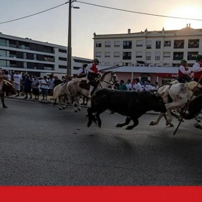 Festa da Amizade em Benavente: sardinha assada nos dias 25-27 de junho