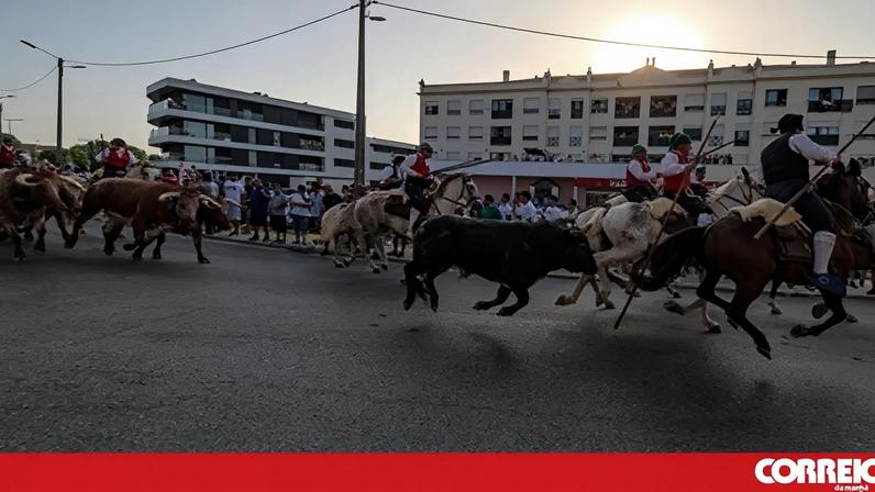 Festa da Amizade em Benavente: sardinha assada nos dias 25-27 de junho