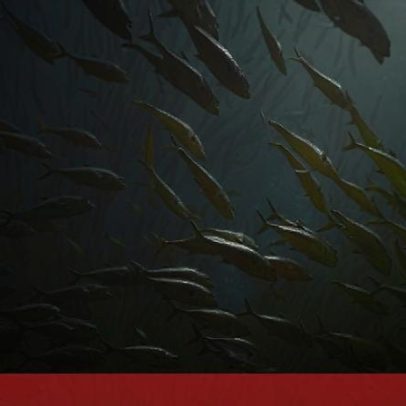 Trump autorizapesca comercial em santuários marinhos do Pacífico