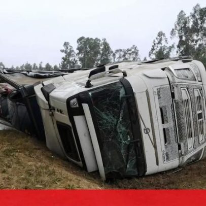 Camião que transportava veículos despista-se na A1