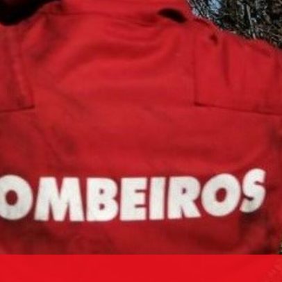 Incêndio em autocarro na A8 em Loures alastrou-se a mato