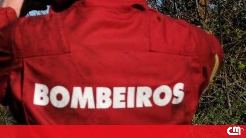 Incêndio em autocarro na A8 em Loures alastrou-se a mato