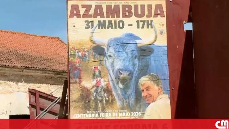 Touro solta-se fere três pessoas em Azambuja; animal já capturado